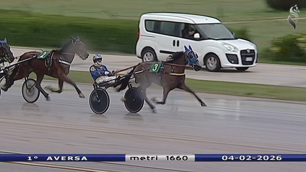 Aversa trotto 4 Febbraio 2026 - 1° Corsa