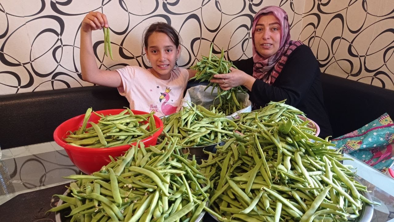 Almanya'da Tarlada Fasulye Bırakmadık Çok Ucuz