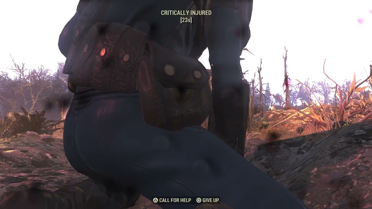 Fallout 76: The Wasteland calls You