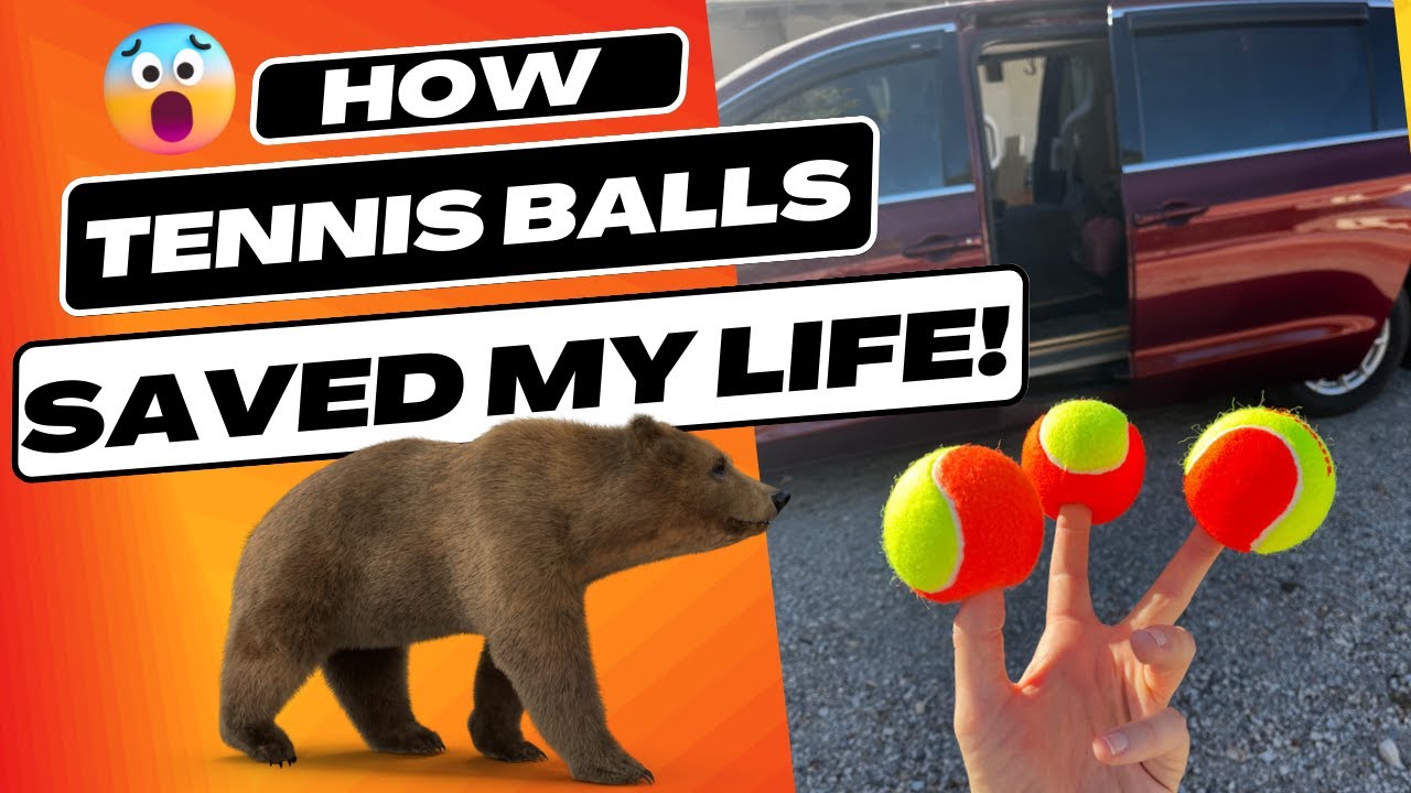 How Tennis Balls Saved my Life while Minivan Camping in Bear Country!