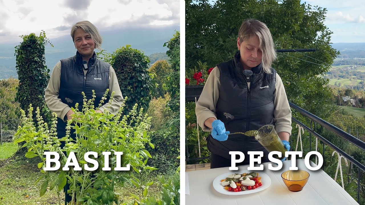 Homemade Basil Pesto - Quick and Easy Recipe