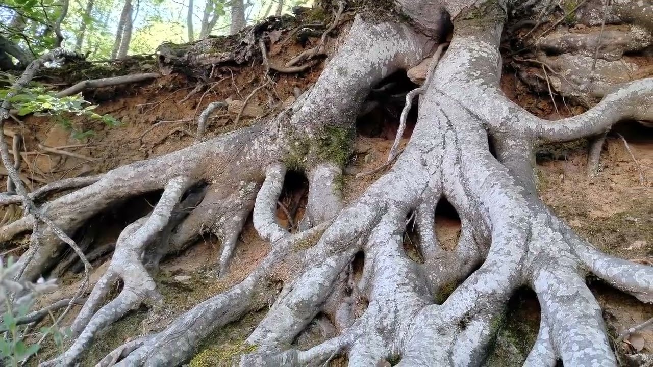 Ήμουν εκεί