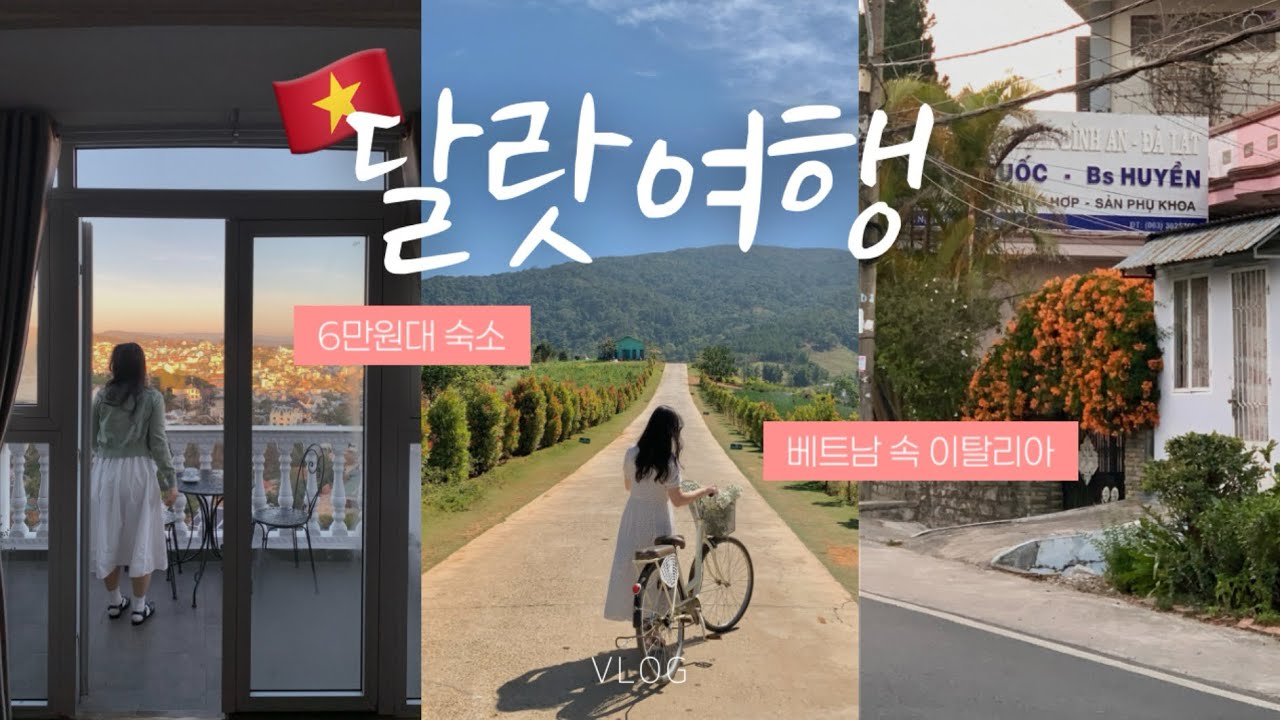 60만원으로 베트남 달랏 2박 4일 여행🇻🇳 | 베트남이 춥다고..? 평균기온 20도인 도시 • 구글맵 4점이상 맛집 • 나트랑 근교여행  • 반일택시투어