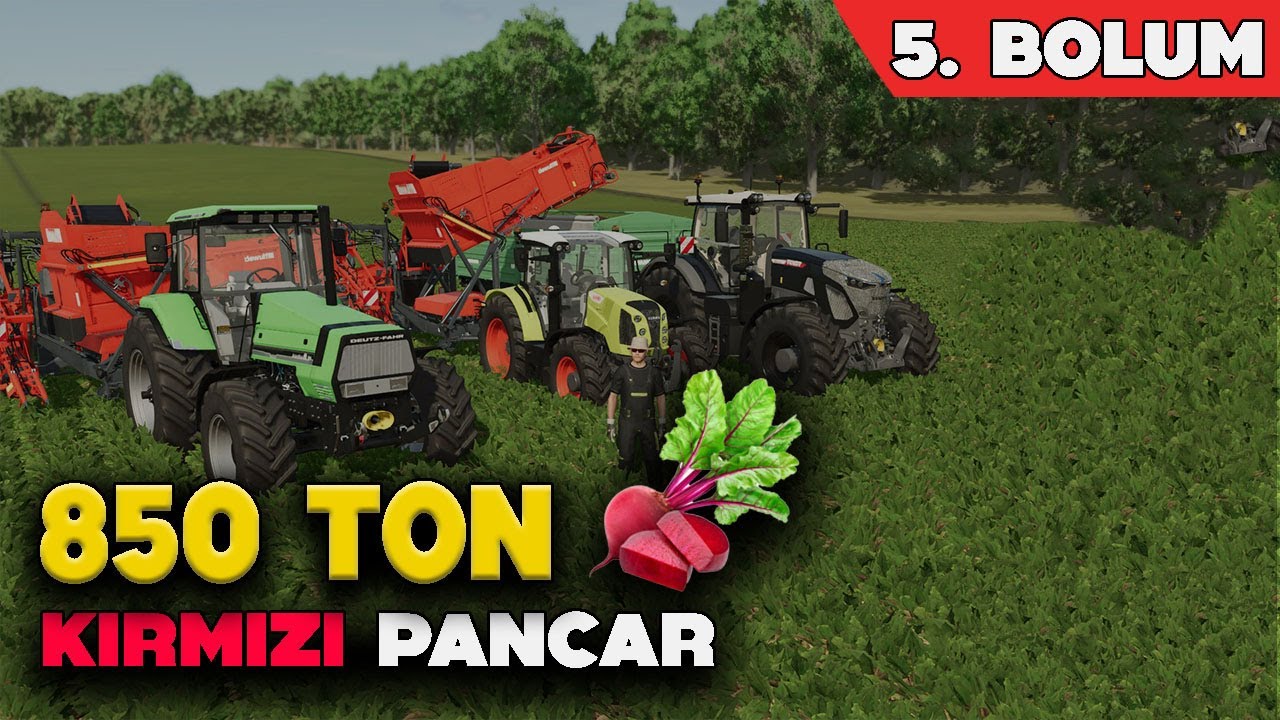 850 TON KIRMIZI PANCAR HASADI ! ORMANCILIĞA İLK ADIM FİDAN EKTİK FS25 SIFIRDAN ZENGİNLİĞE 5. BÖLÜM