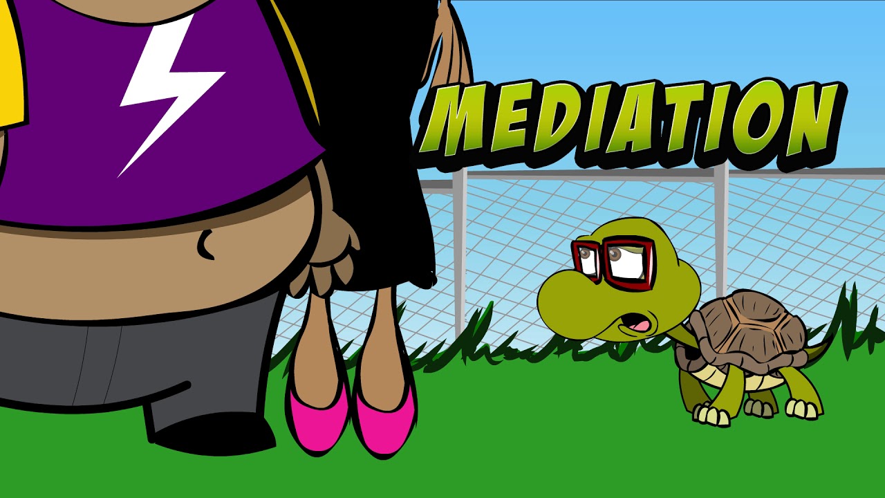 MEDIATION 60SECONDS ANIMATED PSA