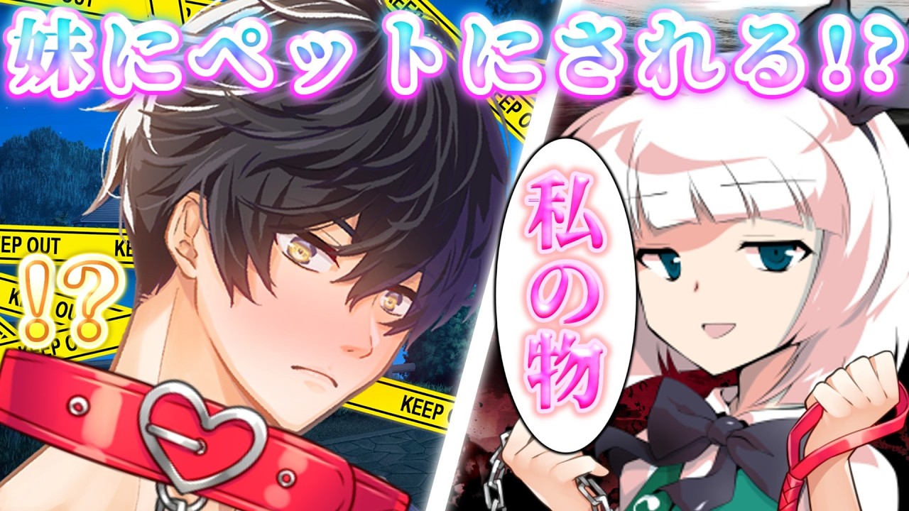 【ゆっくり茶番劇】ブラコンと私のペット《ブラコン過ぎる妹が色々とやばい》第一話