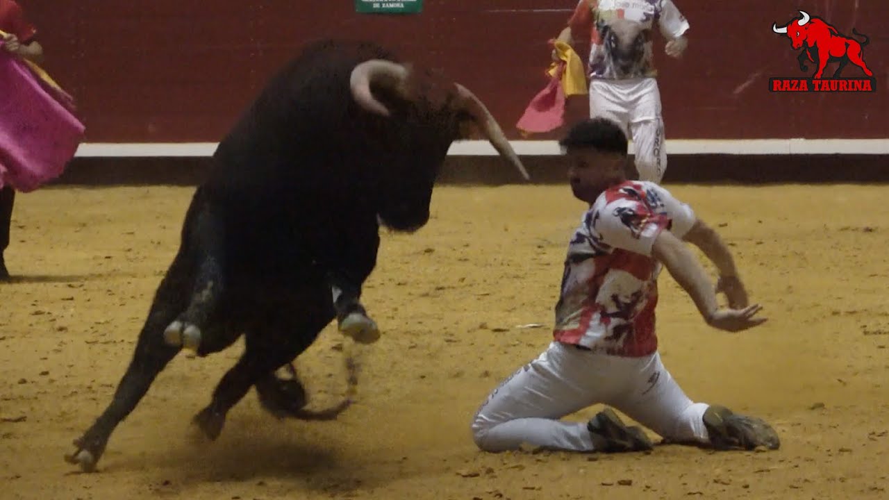 Gran final Campeonato de Cortes de Castilla y León. La Flecha. 20 Noviembre 2021