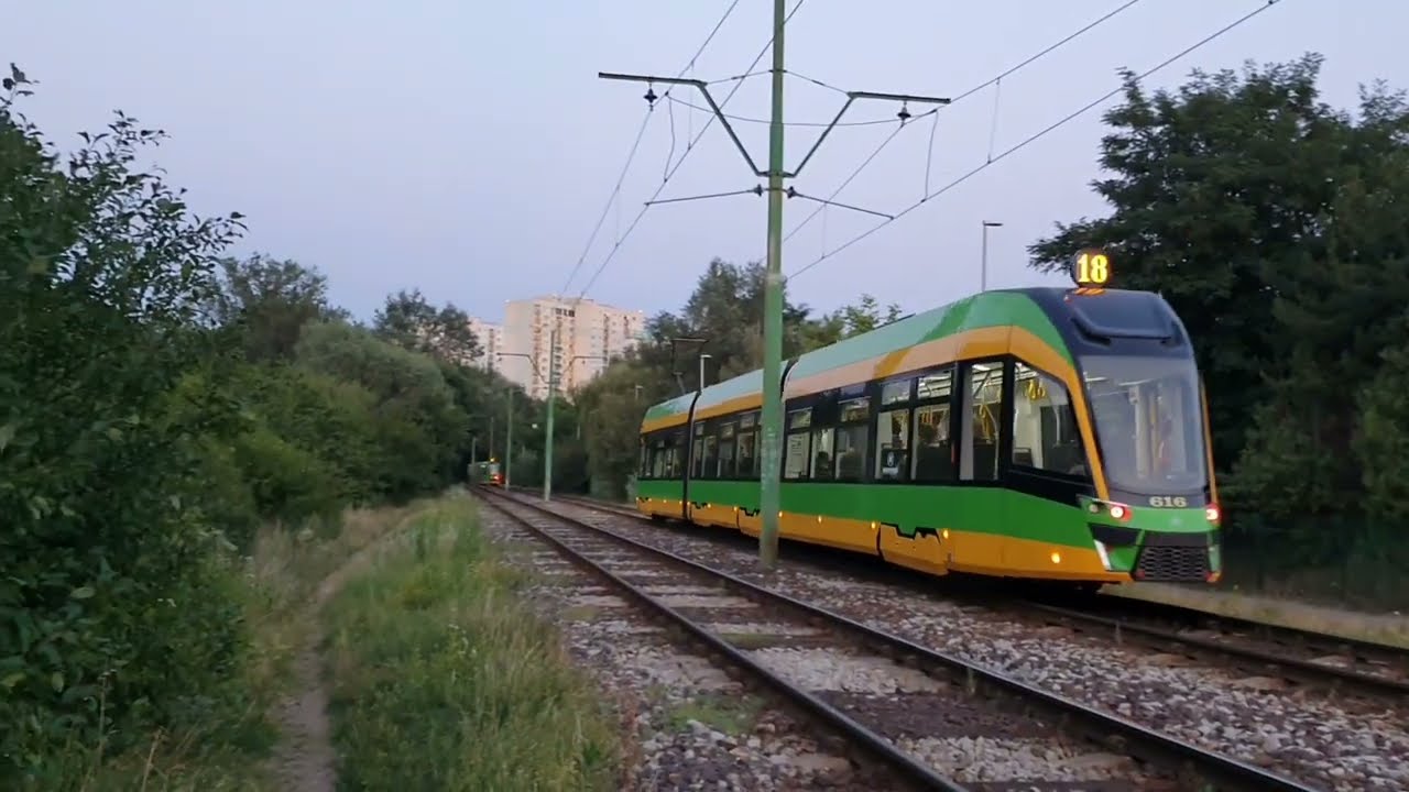 MPK Poznań - Trasa Kórnicka | lato 2022