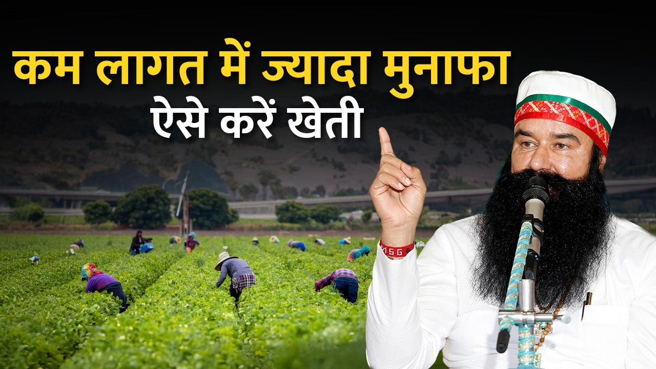 How to earn more from farming? Farming Tips