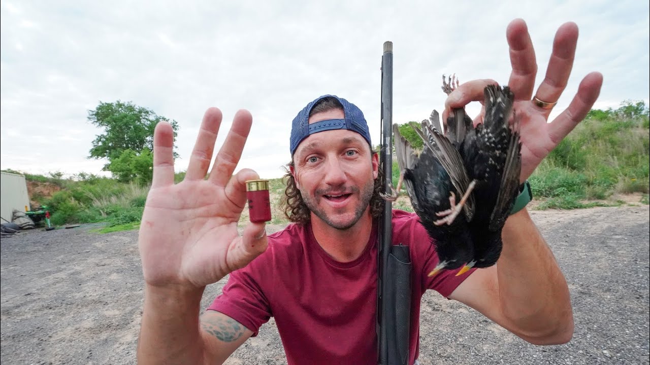 Hunting Starlings using Worlds Smallest Shotgun Shell!!