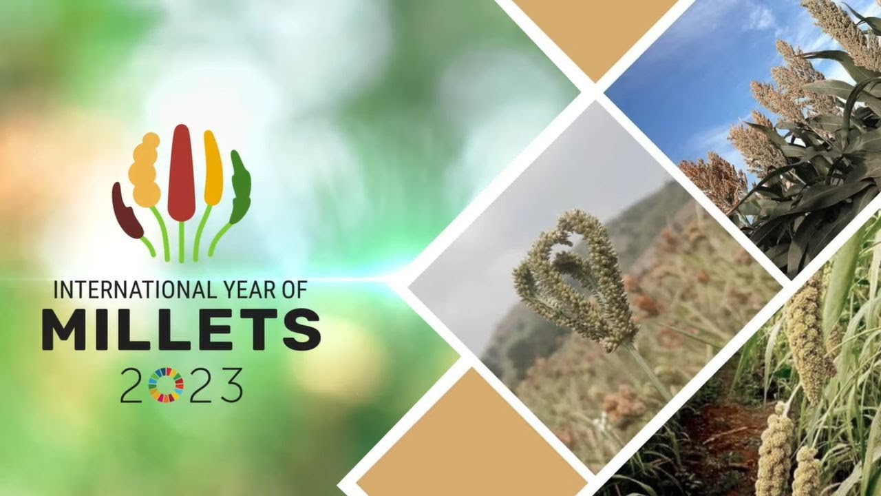 International Year of Millets | Shree Anna &ndash; Furthering farmers' prosperity & global food security