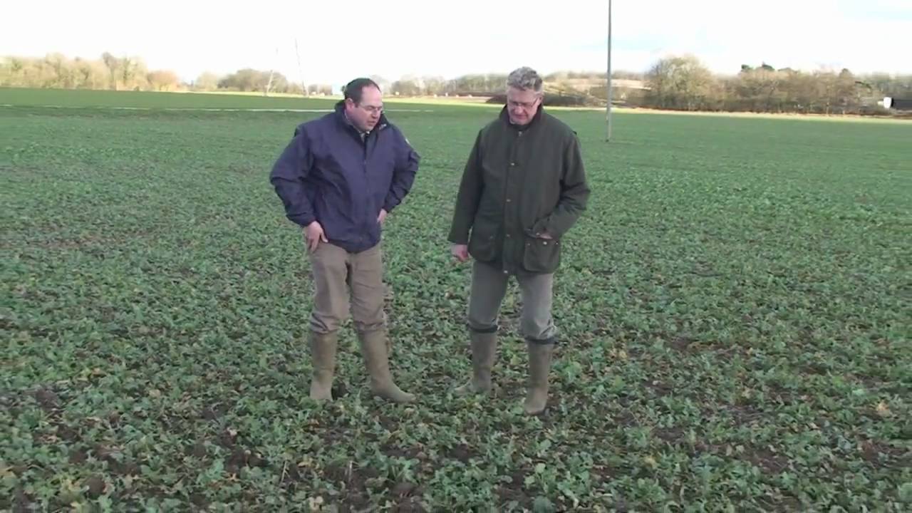 Peter Dews discusses spring oilseed rape management with grower Ken Grimsdell