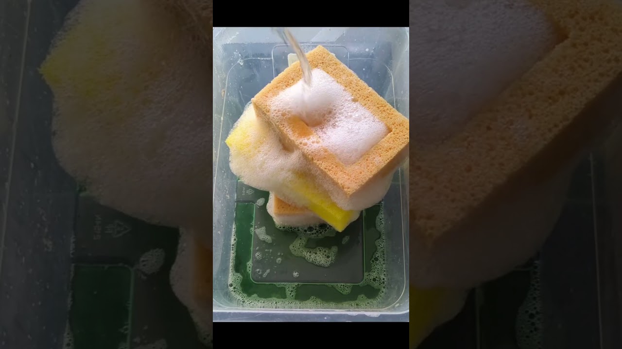 Lemon 🍋 Fake Rinse Squeezes on Epoxy Sponges 🧽 | Sponge ASMR 🤘🎸