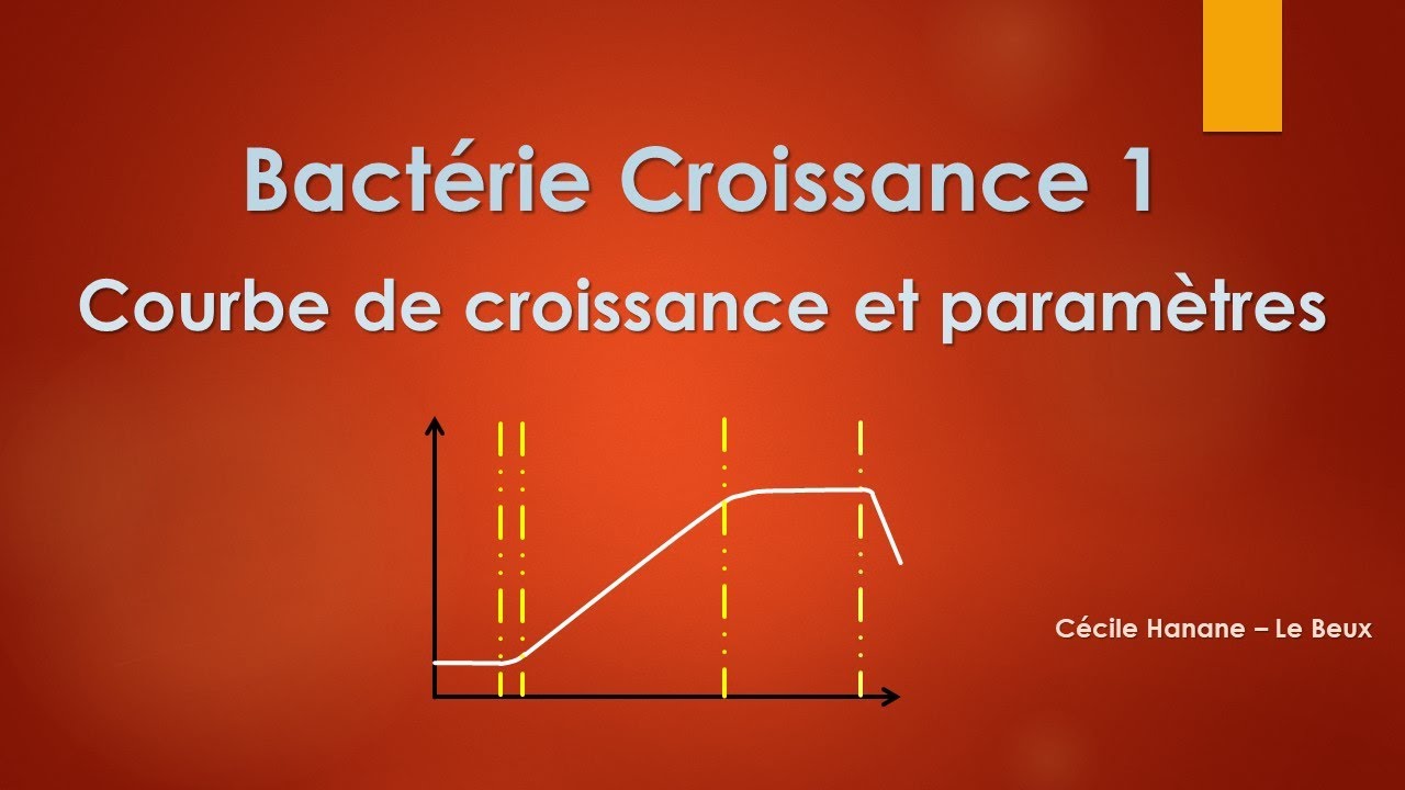 Bactérie Croissance 1 COURBE DE CROISSANCE et PARAMETRES (G et µ)