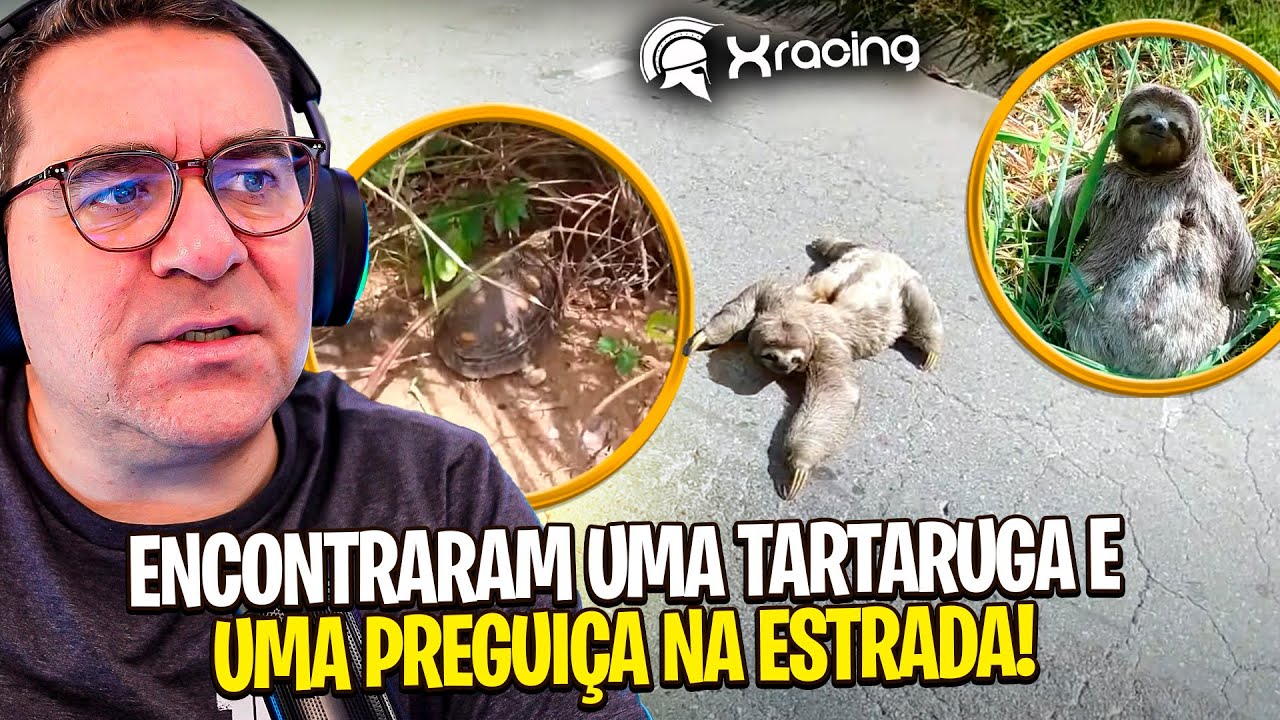 UMA TARTARUGA E UMA PREGUIÇA! RIC REAGE a XRacing Videos