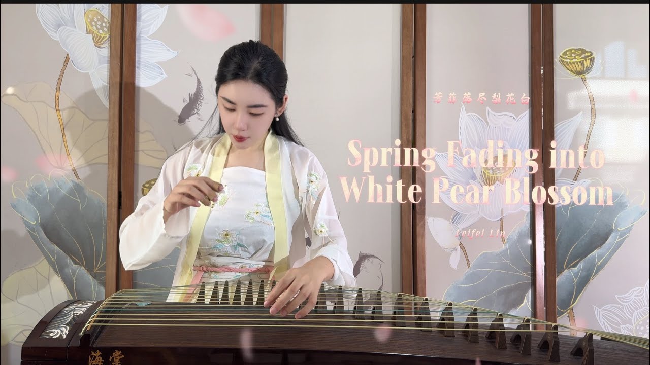 Spring Fading into White Pear Blossom芳菲落尽梨花白 | Guzheng by Feifei Lin