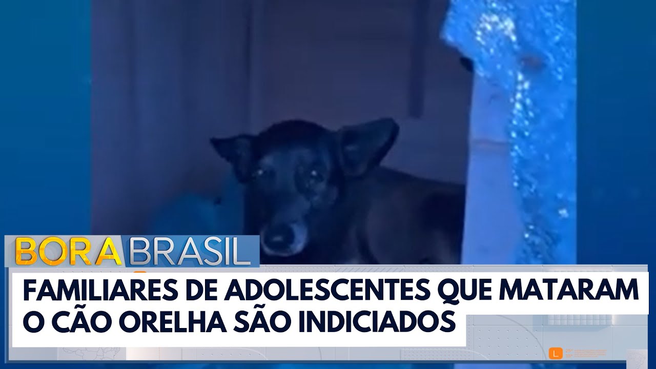 Caso Orelha: Familiares dos adolescentes que mataram cão são indiciados por coação | Bora Brasil