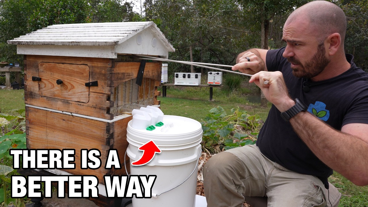 Flow Hive Harvesting: A Better Work-Flow