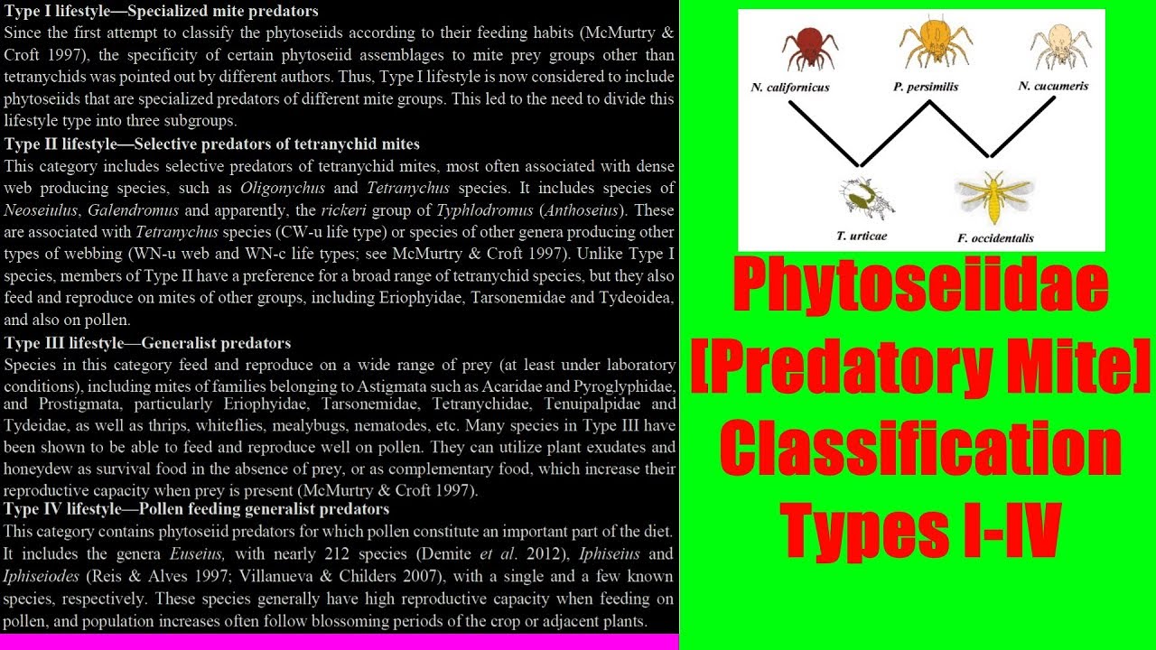 Phytoseiiedae [Predatory Mite] Classification Types I-IV