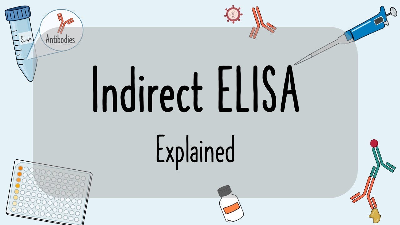 Indirect Elisa Explained