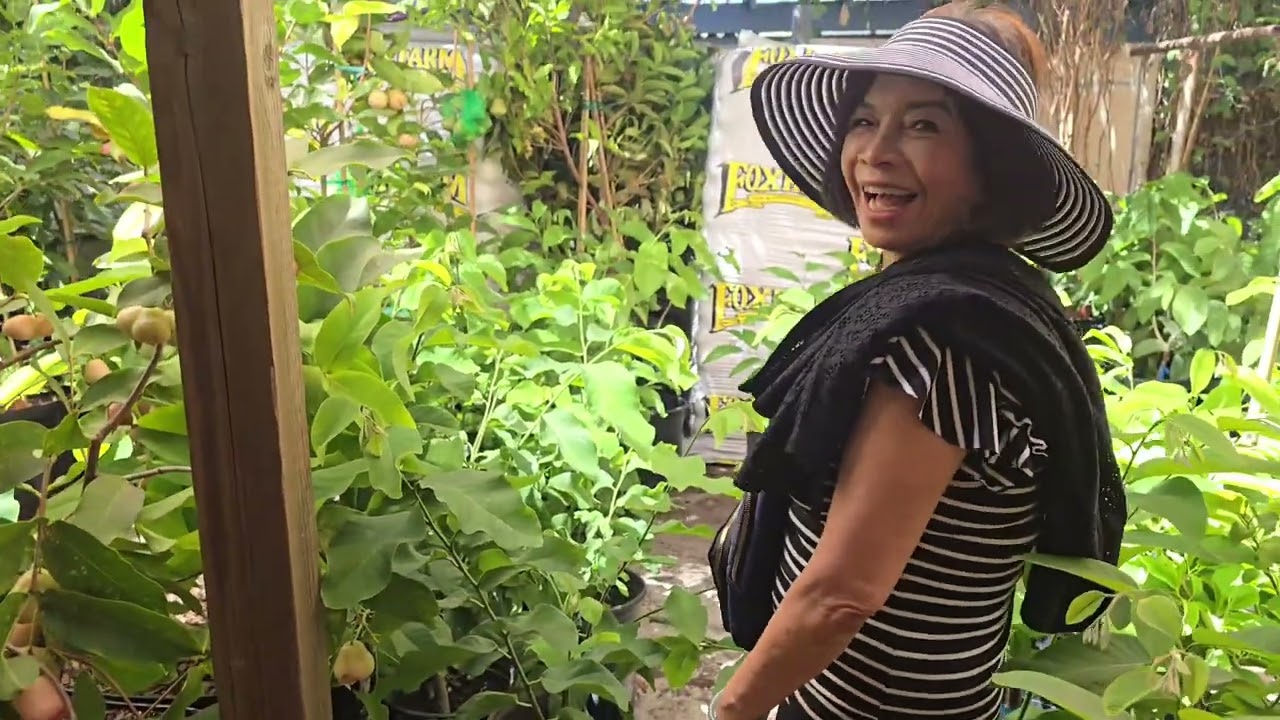 Kim Le Nursery Fruit Trees