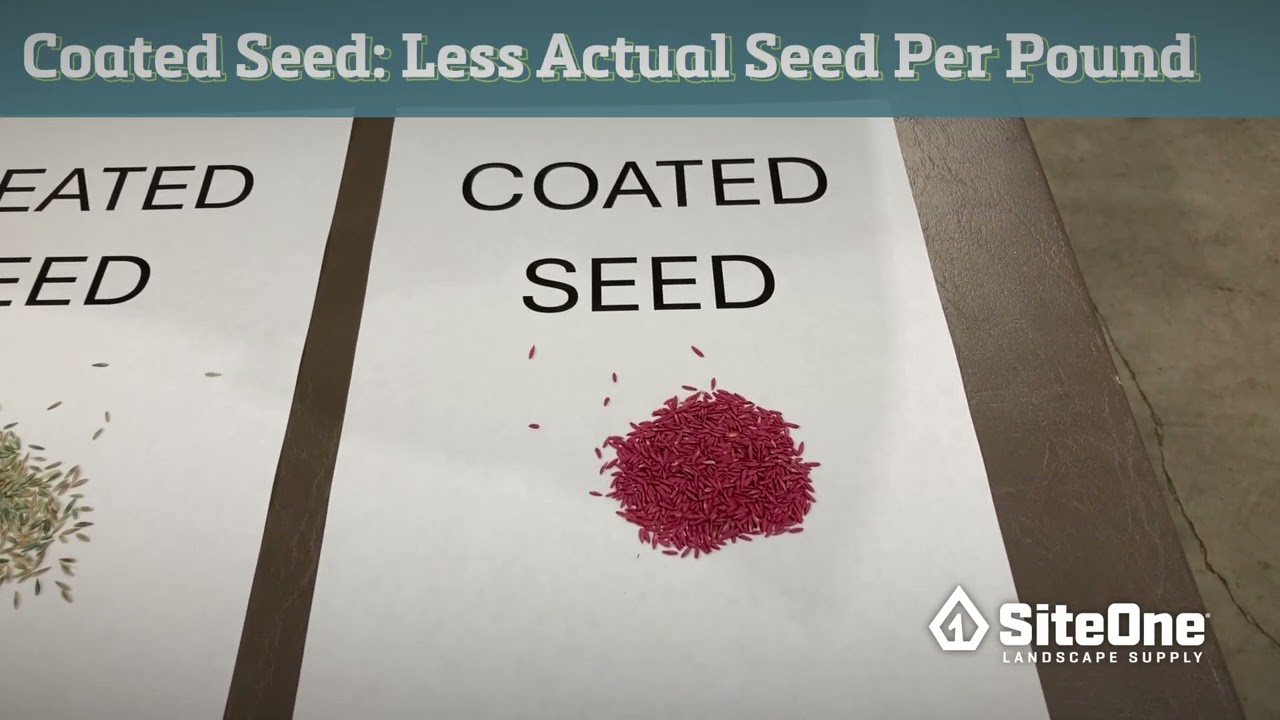 SiteOne Field Guide: Choosing the Right Grass Seed for Your Project