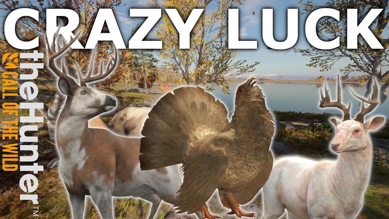 Crazy Luck - Revontuli Coast - theHunter: Call of the Wild