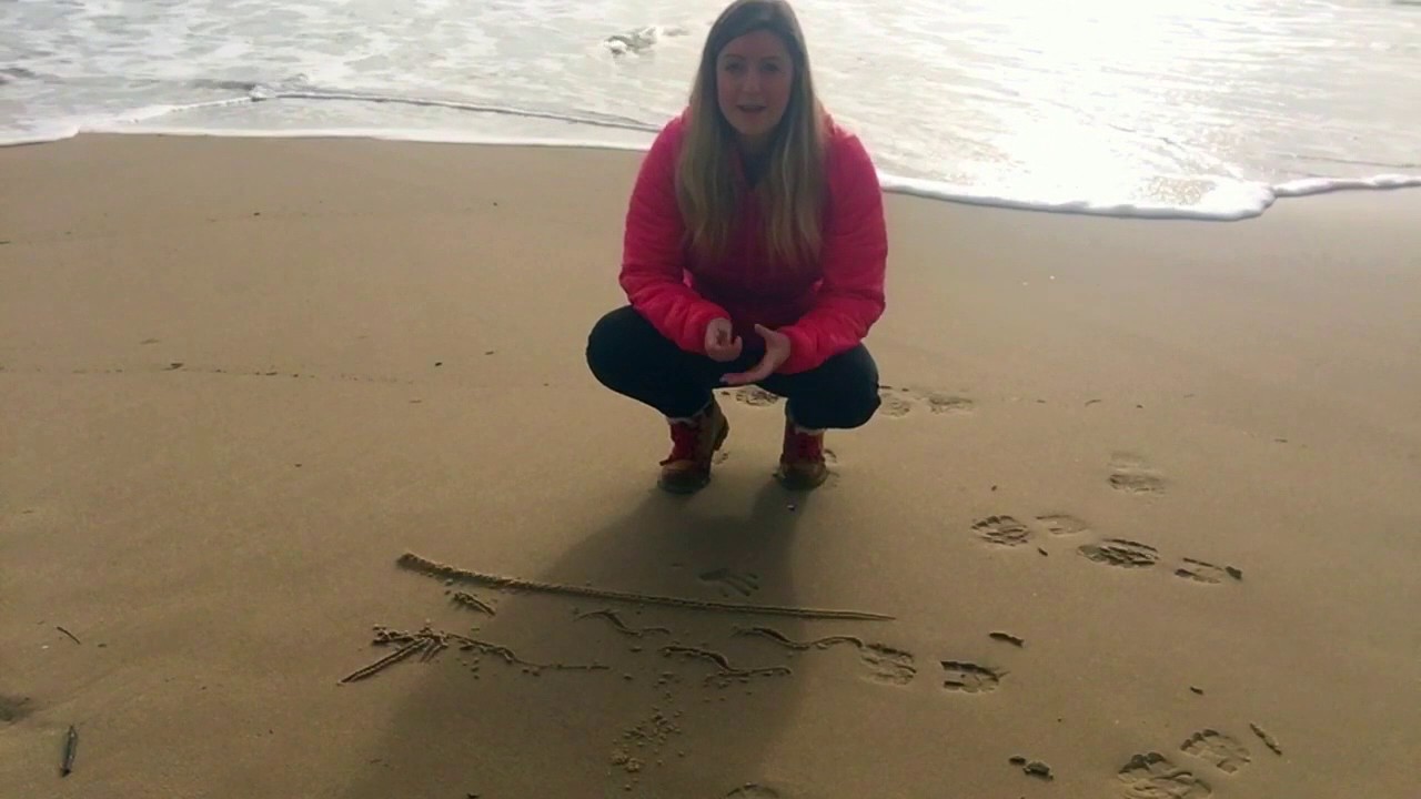 Longshore drift