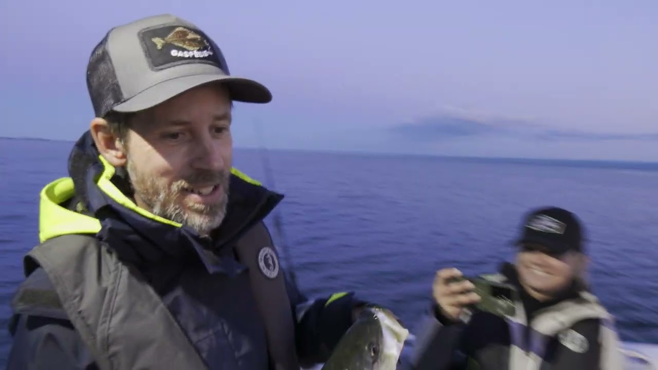 Pêche aux bars rayé | Aventure Chasse Pêche