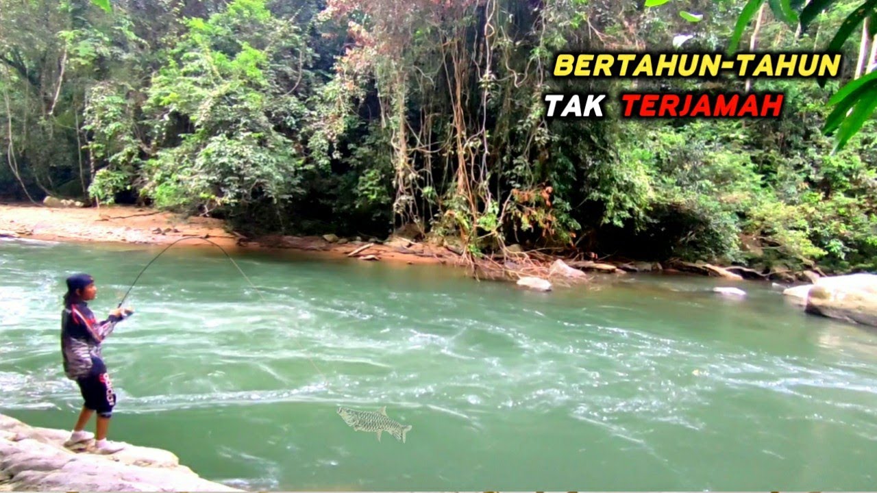 Spot ini baru di buka..!! ikan Mahseer pada keluaran bikin kalang kabut pemancing