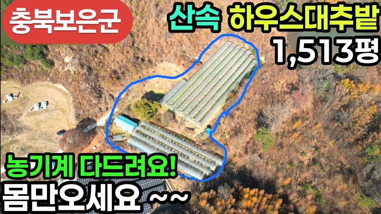 (743번)농기계 다드려요! 몸만오세요~ 산속 하우스대추밭1,513평 1억9500만 #보은부동산 #충북보은대추밭