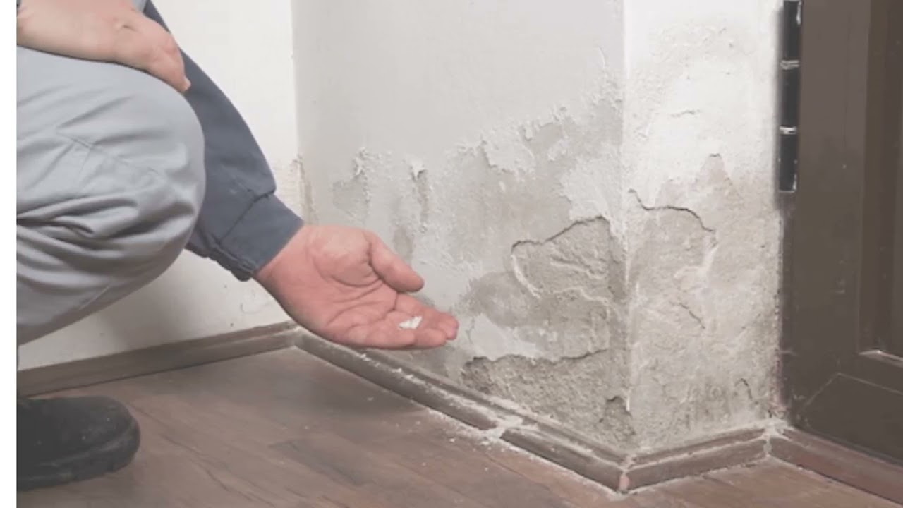 Water Damage Restoration Near Me
