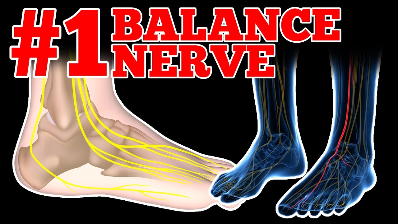 What is the Deep Peroneal Nerve (DPN) and Does it Affect Your Balance?