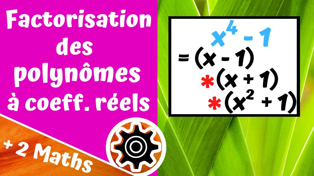 Factorisation des polynômes à coefficients réels
