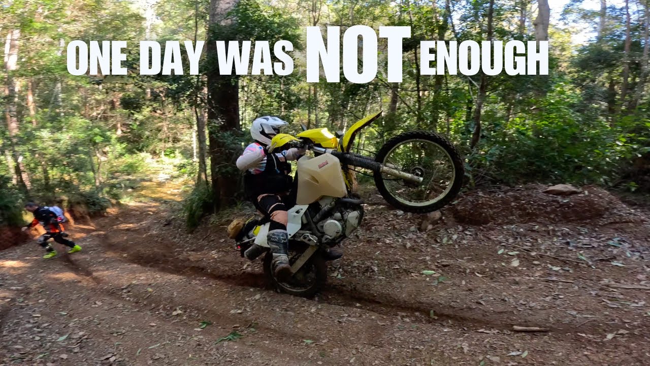 Riding EPIC trails in D'AGUILAR NATIONAL PARK.