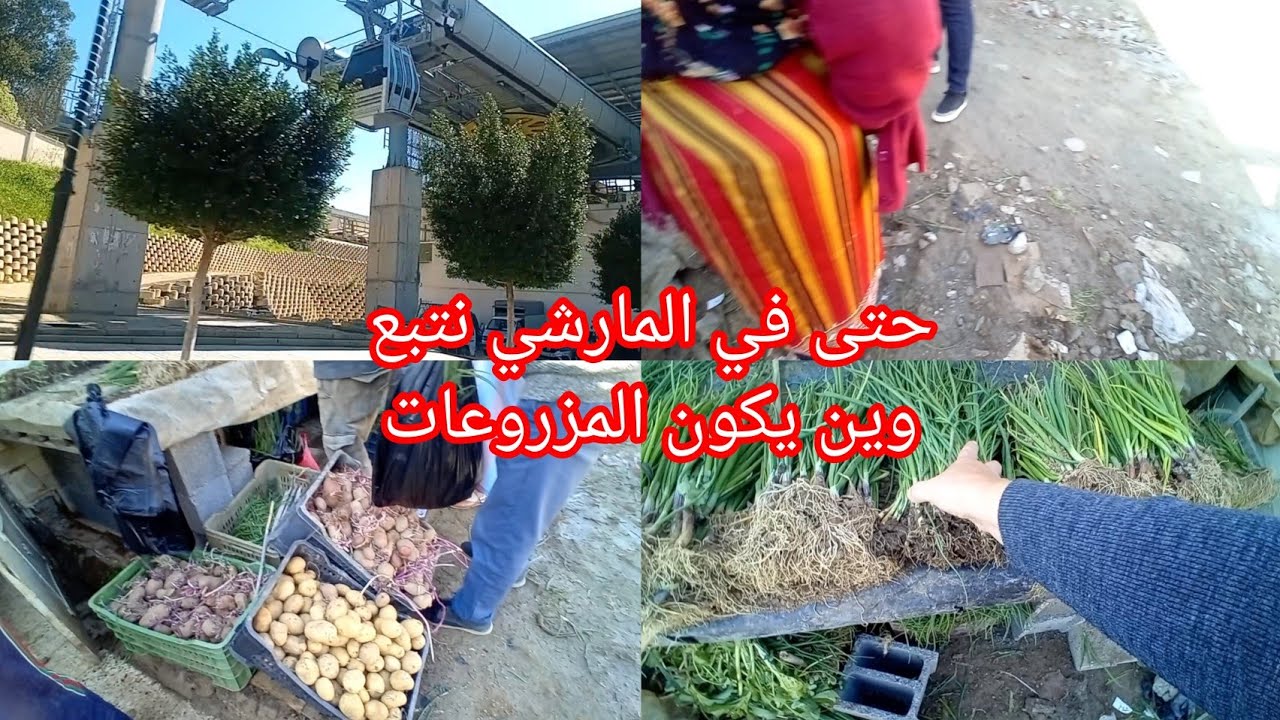 ديت  ma mère  لطبيب j'ai profité  دخلت le  marché  وين كاين ريحة  رمضان  