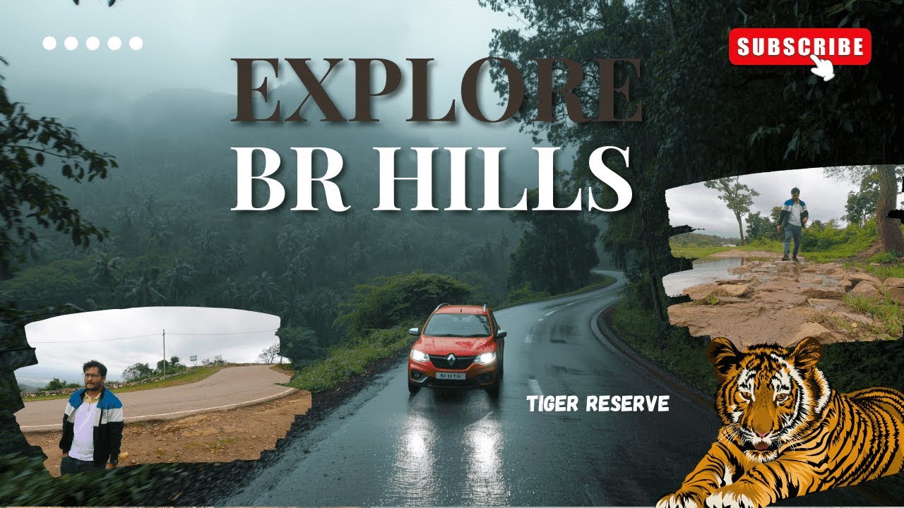 BR Hills Karnataka | Blew My Mind - Hidden Hill Station & Tiger Reserve Near Bangalore