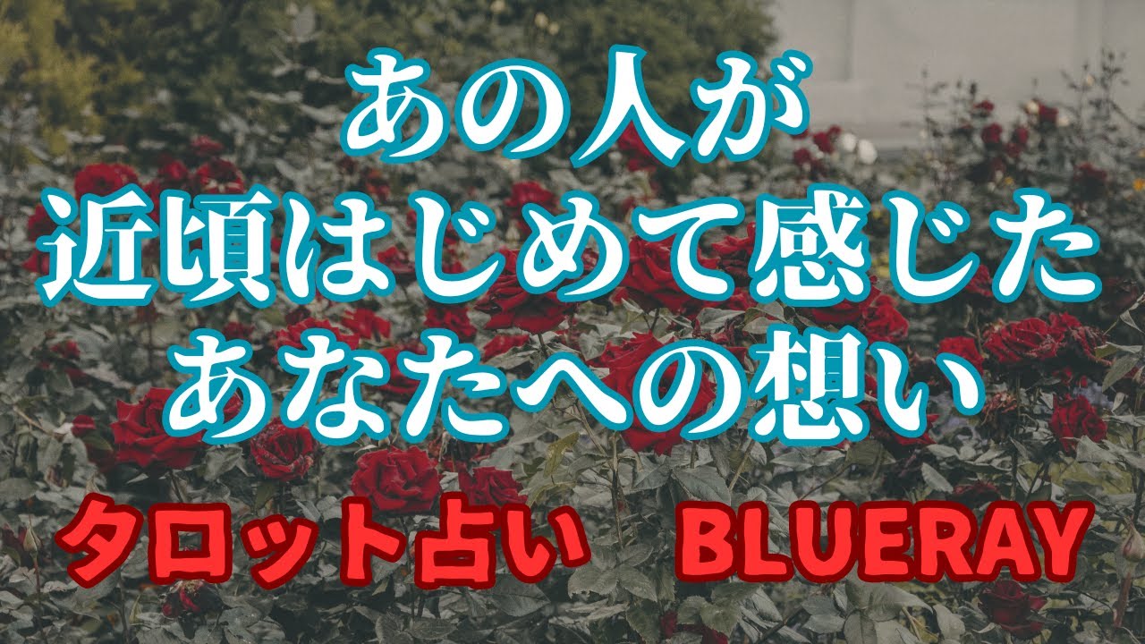 【タロット占い】あの人が最近感じた、自分の中にあるお気持ち【twinray】