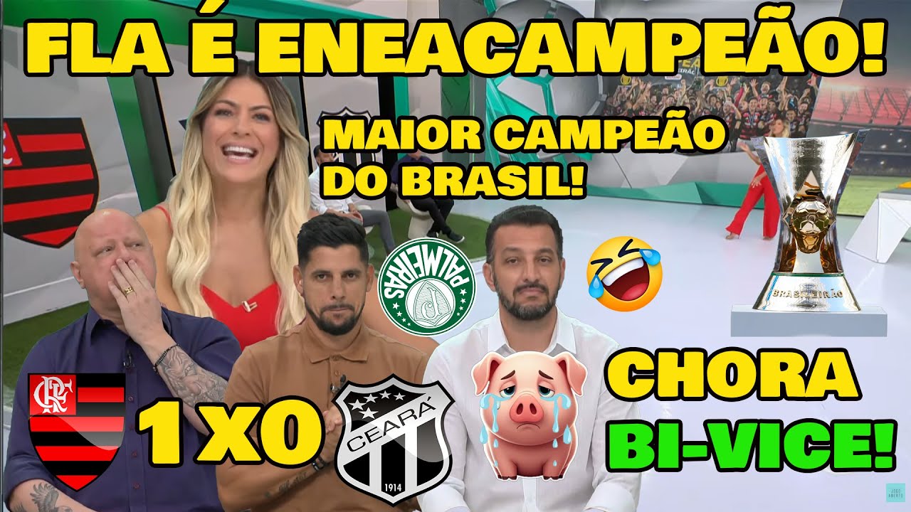 OLHA O QUE RENATA FAN FALOU DO FLAMENGO, ENEACAMPE&Atilde;O BRASILEIRO 