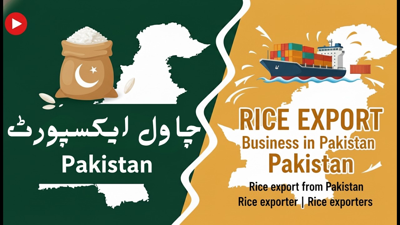 Rice export from Pakistan RICE EXPORT Business in Pakistan Rice Business exporters in Pakistan #rice