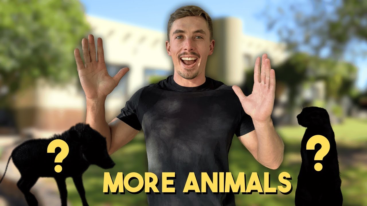 We Have TWO New Animals On The Farm