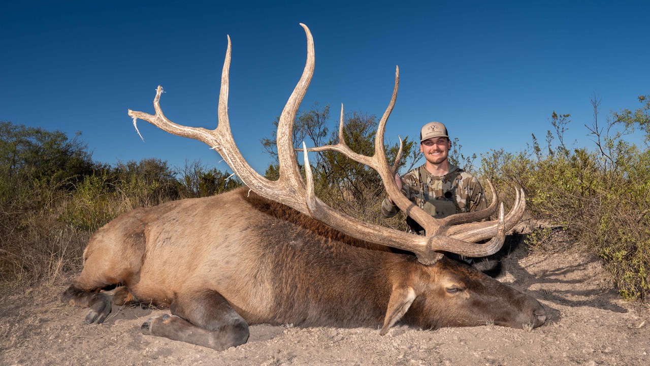 I HUNTED ELK IN THE BEST PLACE ON EARTH (367