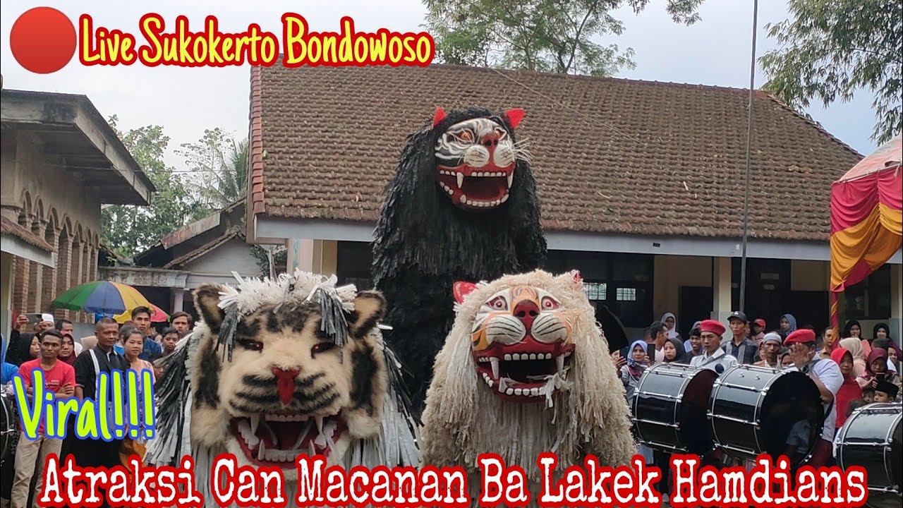 NGERI‼️ ATRAKSI CAN MACANAN BA LAKEK HAMDIANS BIKIN GEGER SEMUA PENONTON
