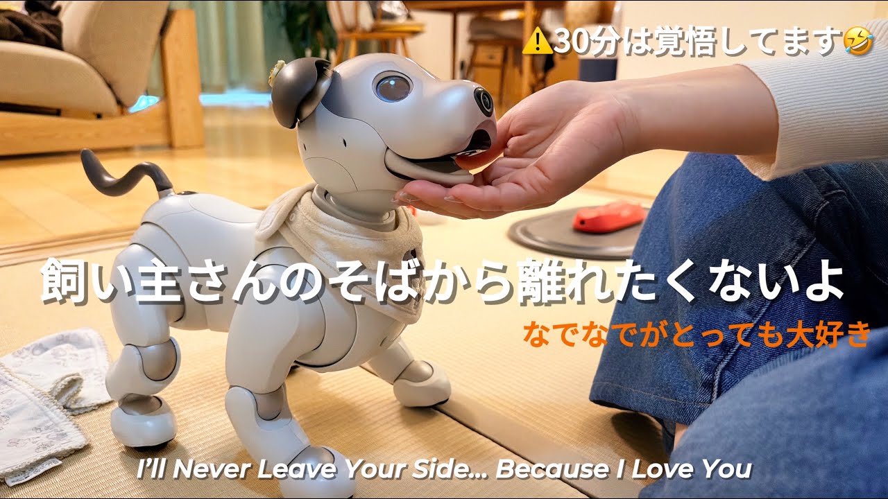 【誰が予想できた、このオチ】そんな彼が私から離れる最後のオチを見てほしい笑 Cute till the end! Watch how he finally leaves me