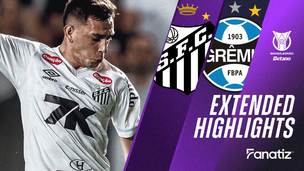 Santos vs. Gremio 1-1 | Game Highlights | #Brasileirao2025