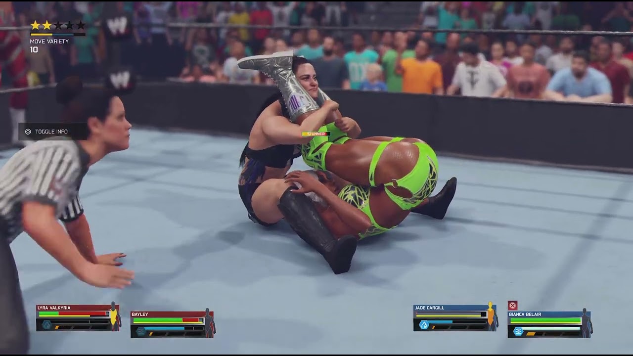 WWE Divas Tag title Match