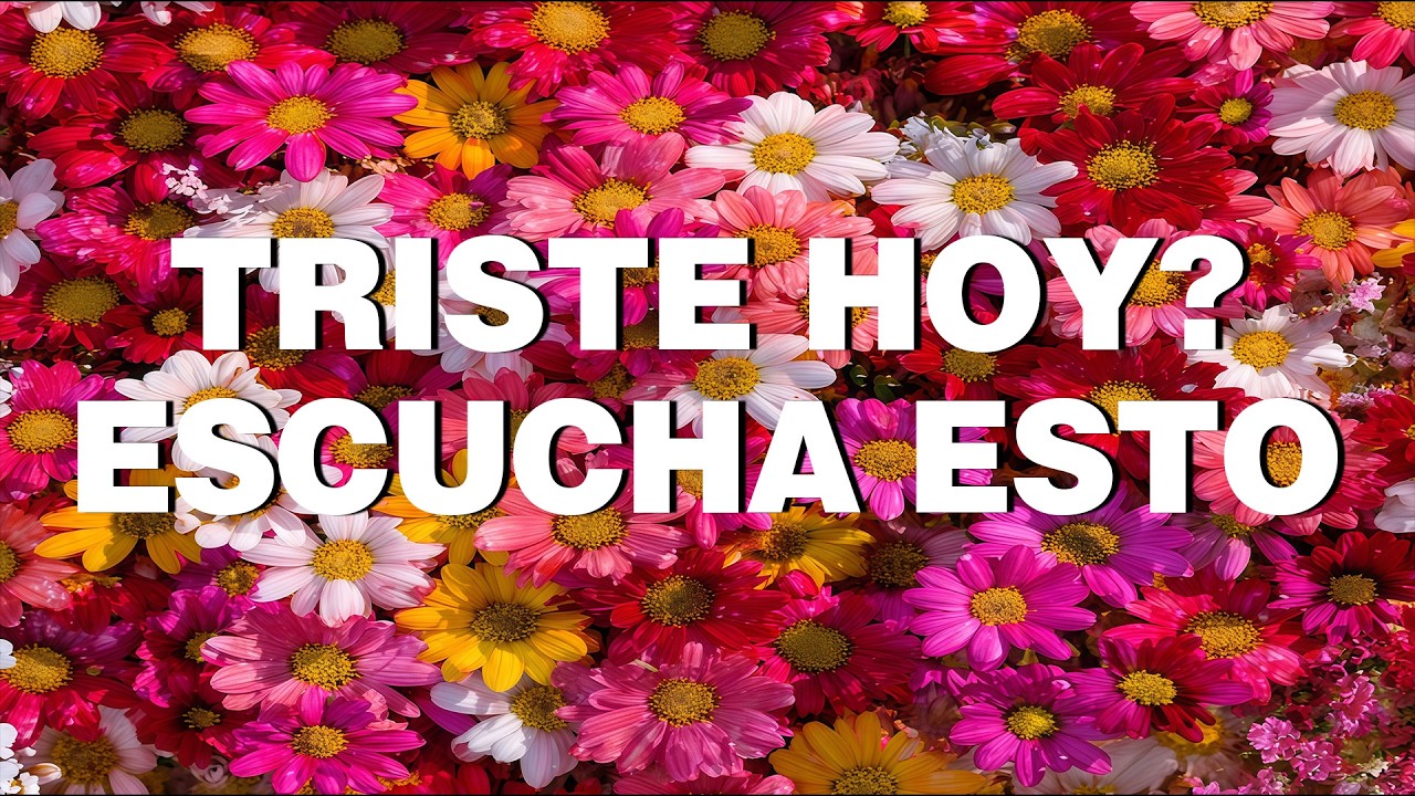 Los Mejores Himnos para Orar con Lágrimas | Música de Paz y Esperanza 🤍