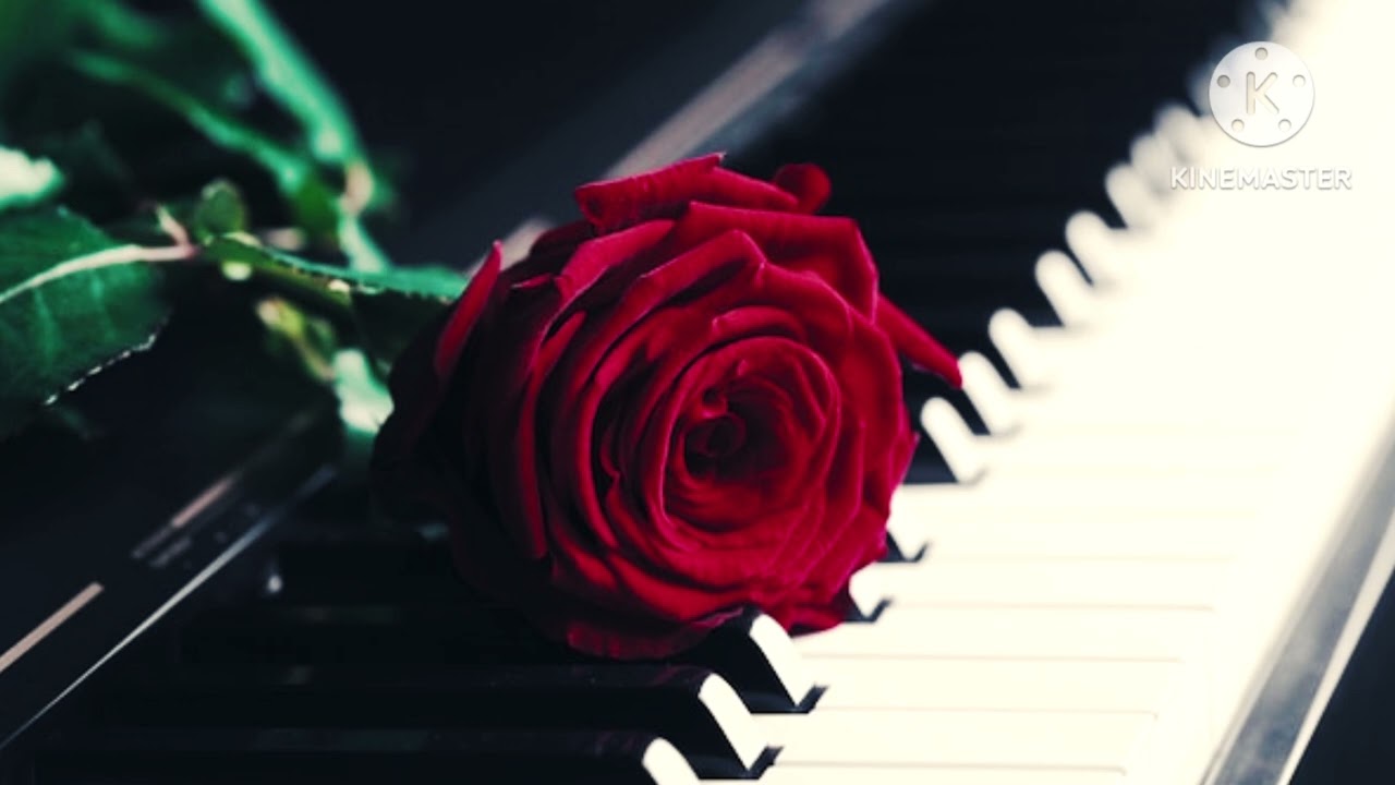 Robyka-Szeretem őt.❤️🎹