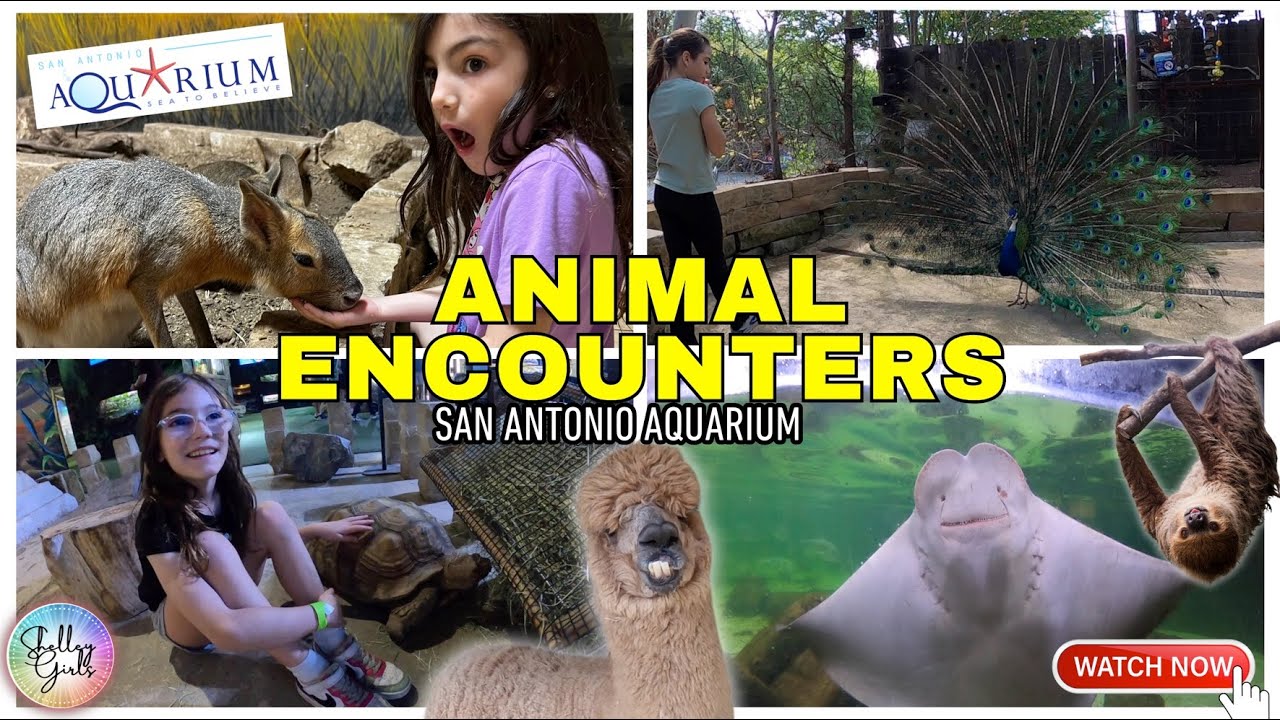Animal Encounters at the San Antonio Aquarium | Shelley Girls