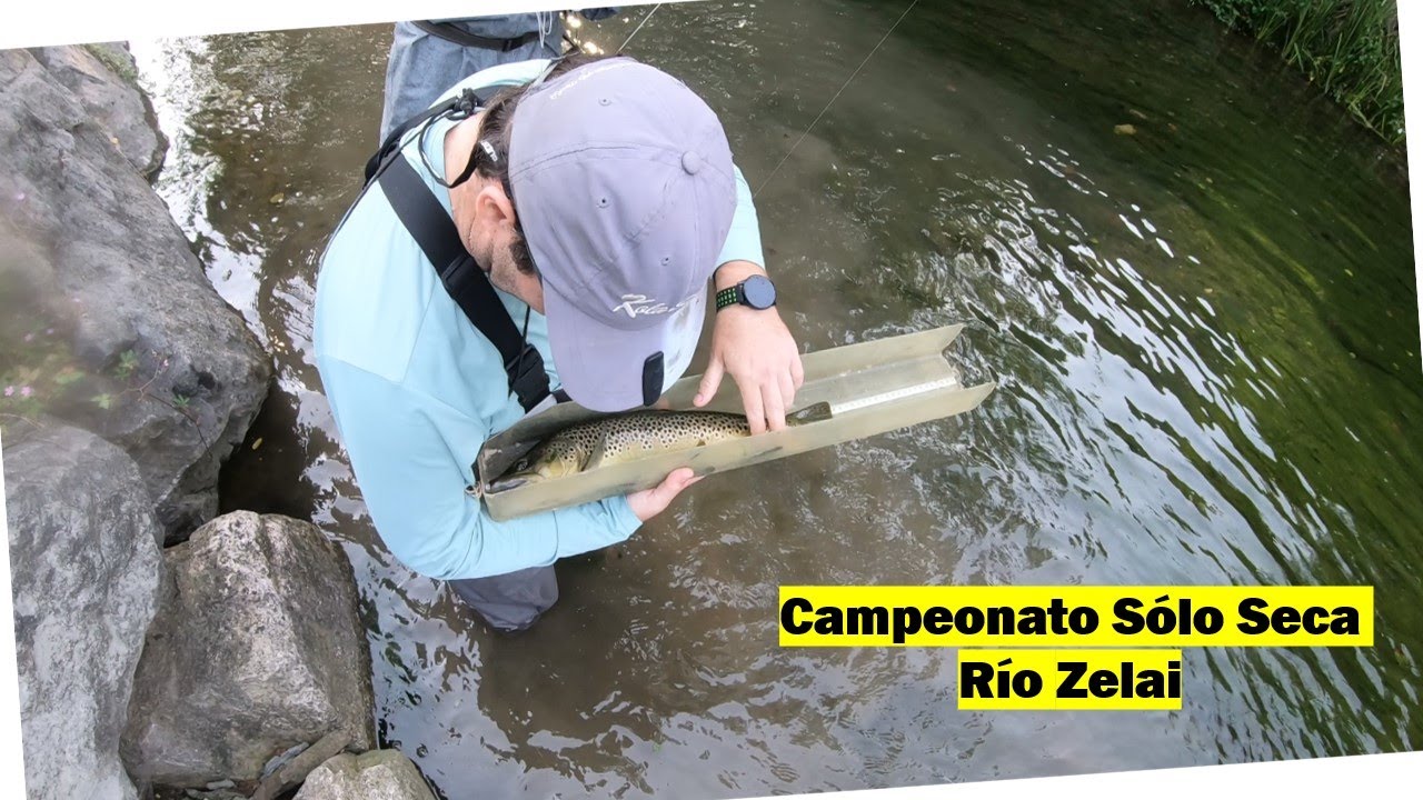 Campeonato Solo Seca Zelai